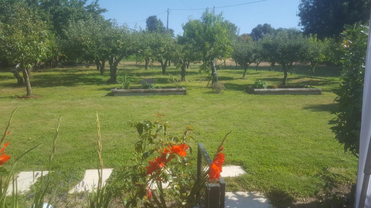 Quinta Do Serrado De Belmonte Belmonte  Dış mekan fotoğraf