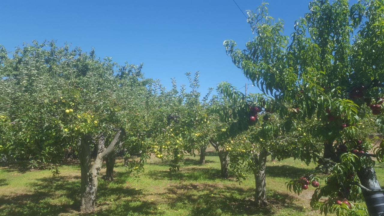 Quinta Do Serrado De Belmonte Belmonte  Dış mekan fotoğraf