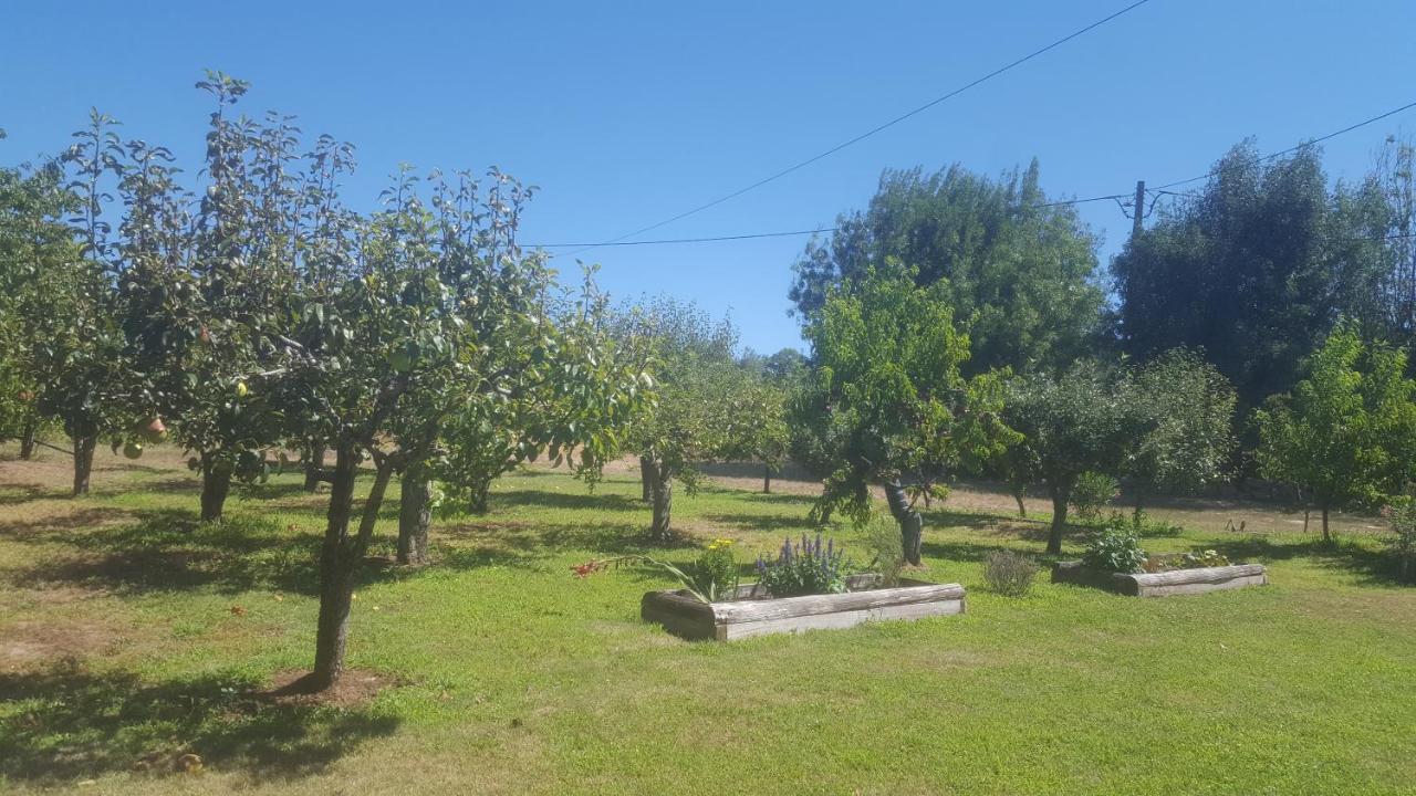 Quinta Do Serrado De Belmonte Belmonte  Dış mekan fotoğraf